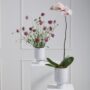 product-275516-1789660456-ACC01-0000038^2
